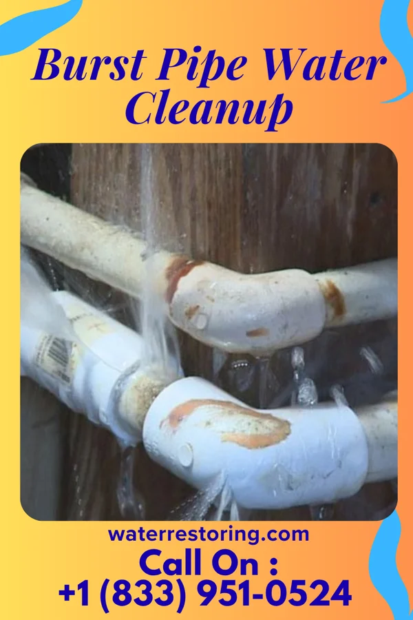Burst Pipe Water Cleanup in Moundville, MO