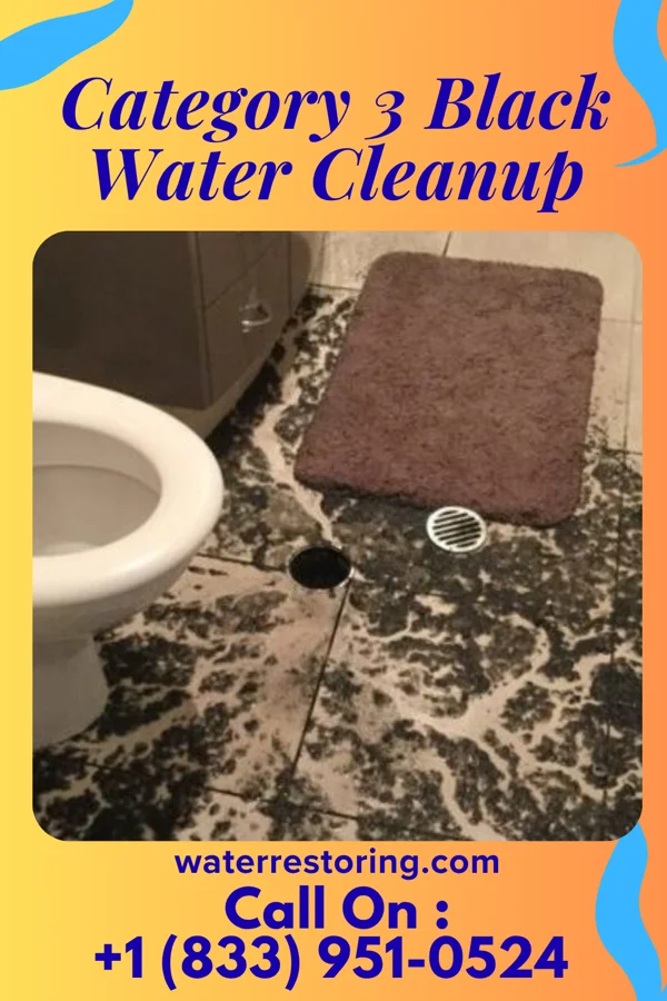 Category 3 Black Water Cleanup in Moundville, MO