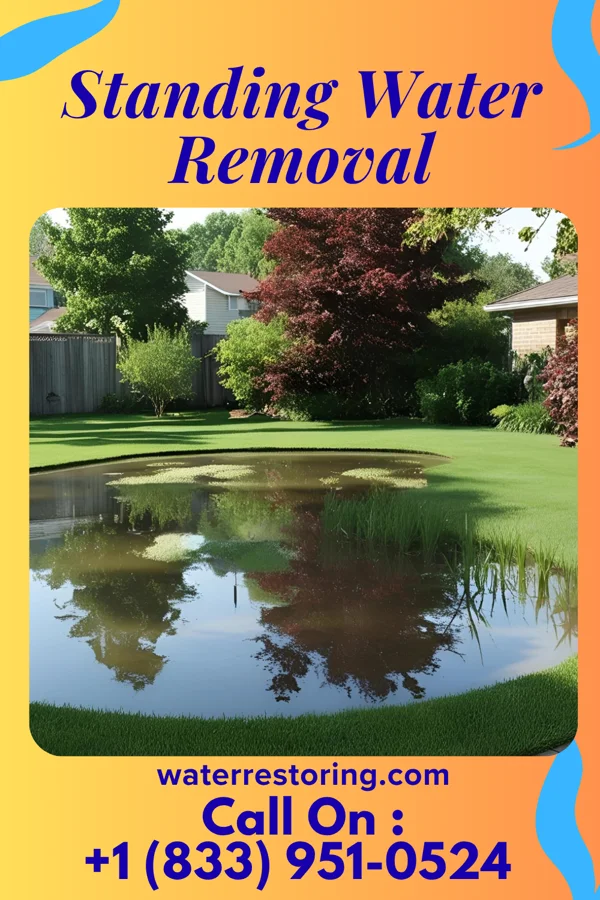 Standing Water Removal in Moundville, MO